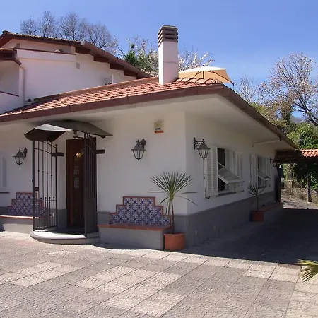 ベッド・アンド・ブレックファスト Teresa ソレント